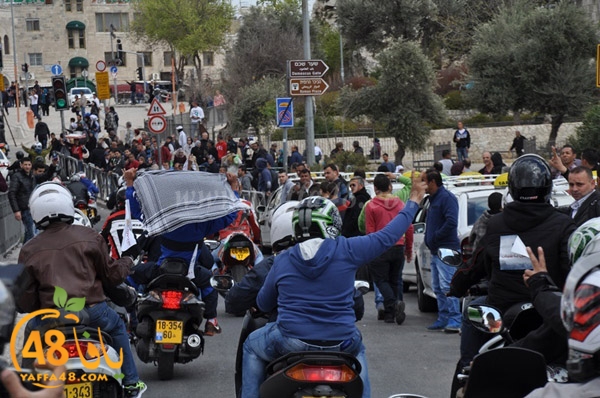 receive yaffa guys (1).JPG